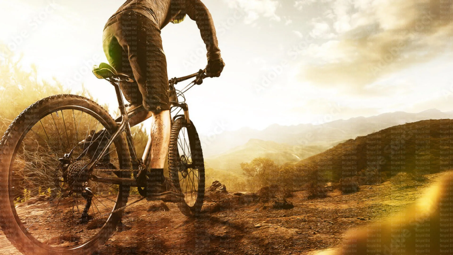 AdobeStock_157389960_Preview
